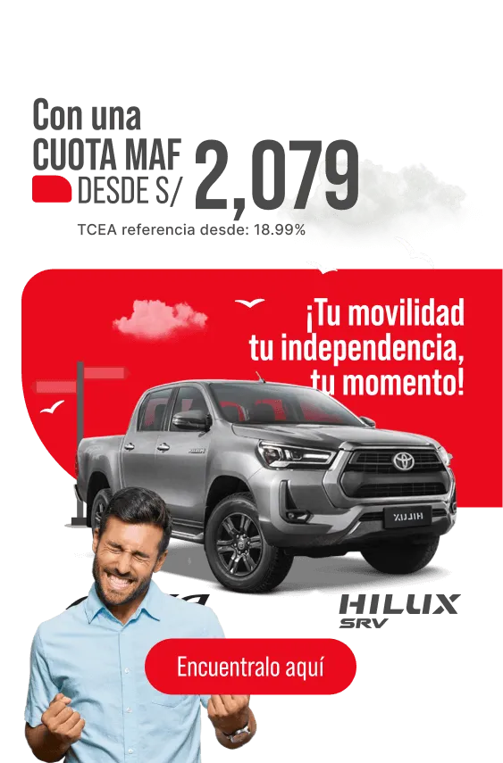 Hilux Banner